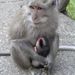 2005_indonesiatrip_261_2